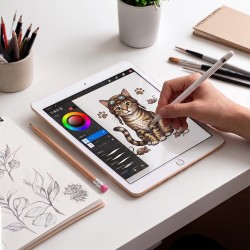 30016262