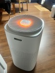 review_30038440